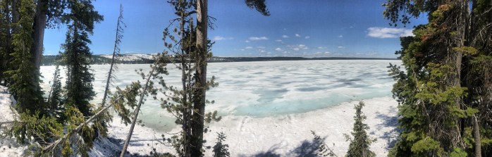 IMG_8388