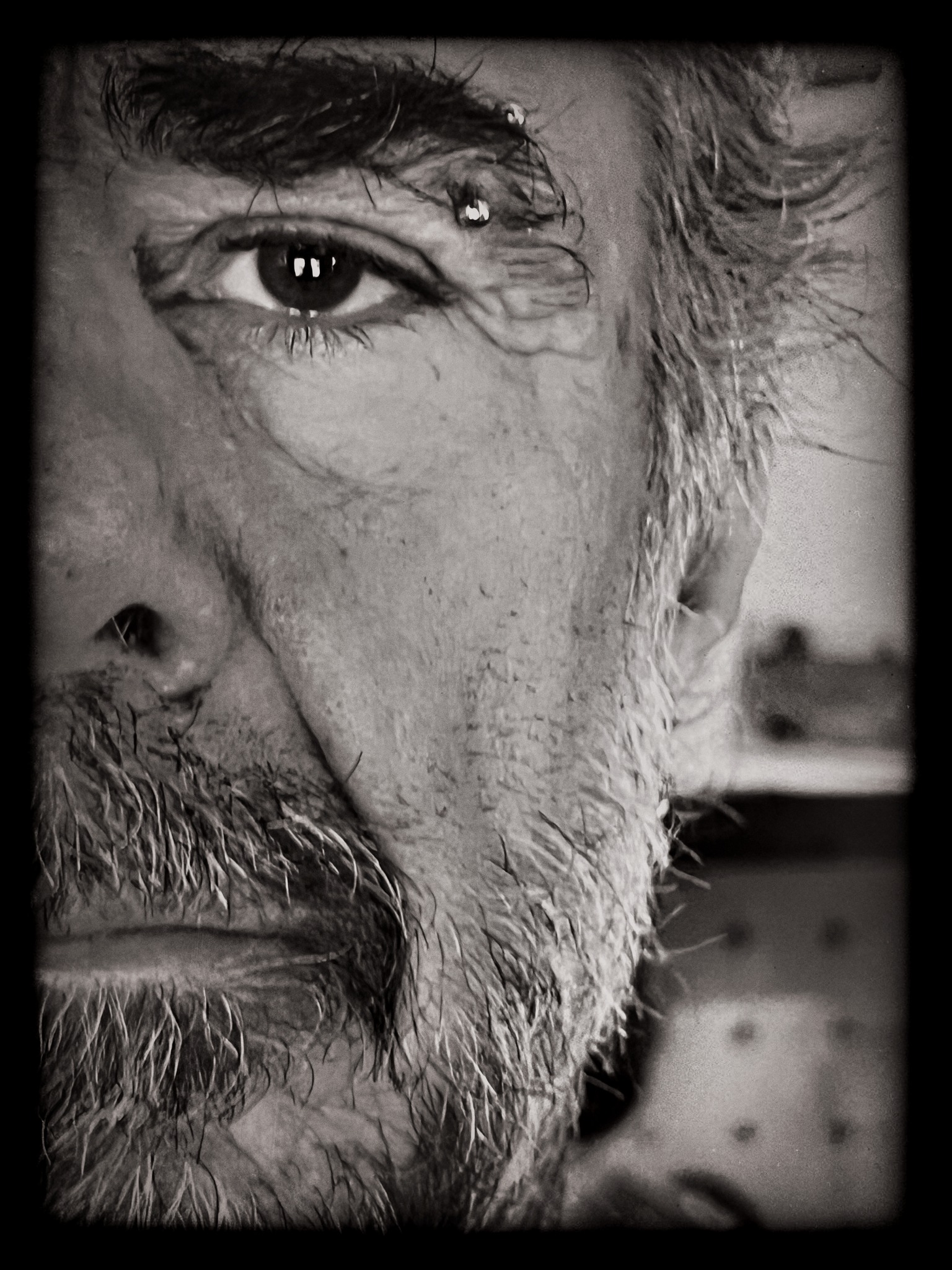 Siamo sopravvissuti al ciclone